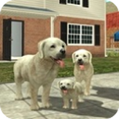 Dog Sim