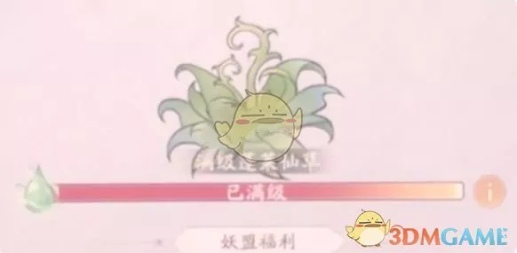 《寻道大千》蓬莱仙岛速通打法教学