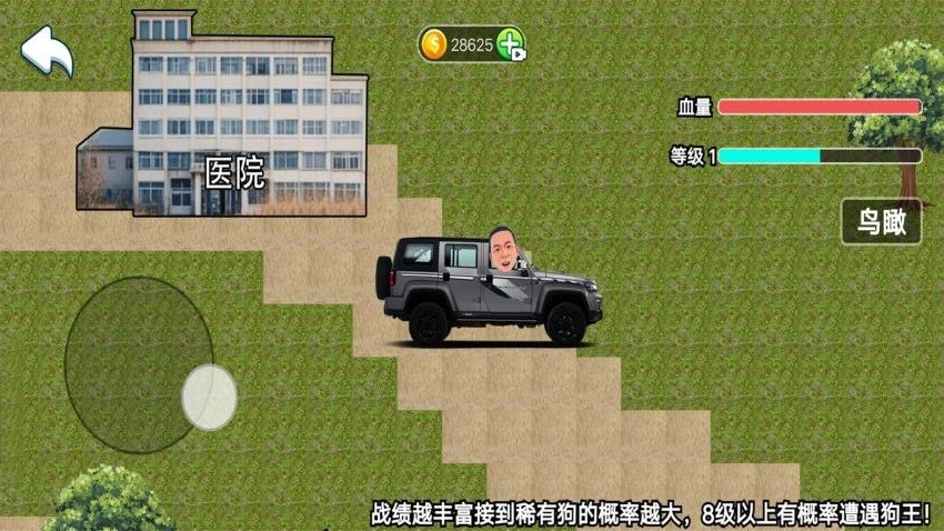 玩狗园区Dog park
