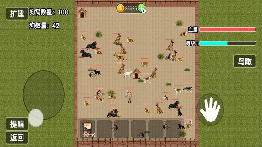 玩狗园区Dog park
