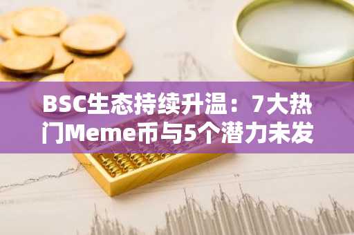 BSC生态持续升温：7大热门Meme币与5个潜力未发币项目全解析-第1张图片-