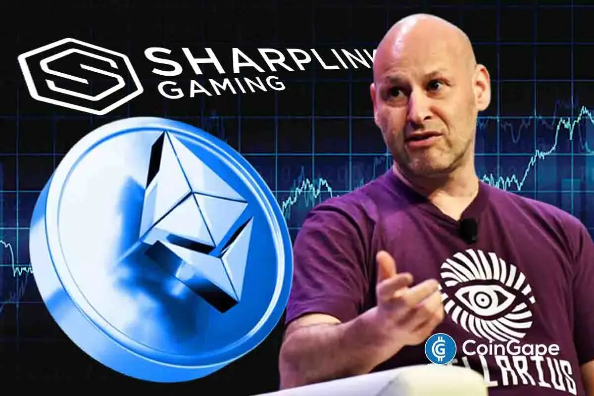 卢宾提议采用杠杆策略效仿塞勒的SharpLink镜像方案