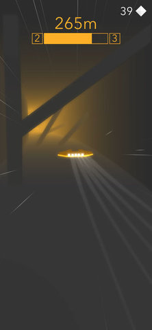 空中赛车手Air racer