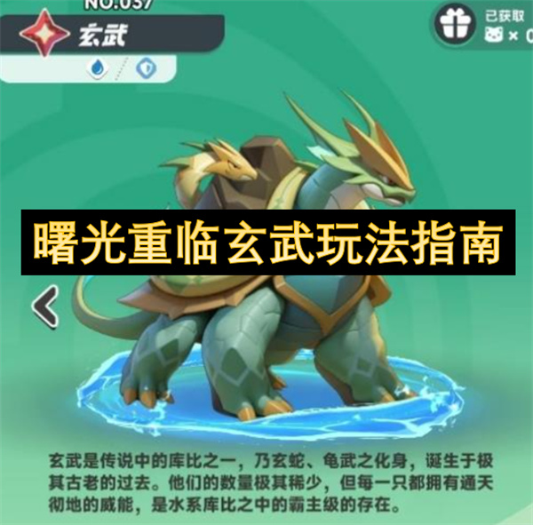 曙光重临玄武玩法指南