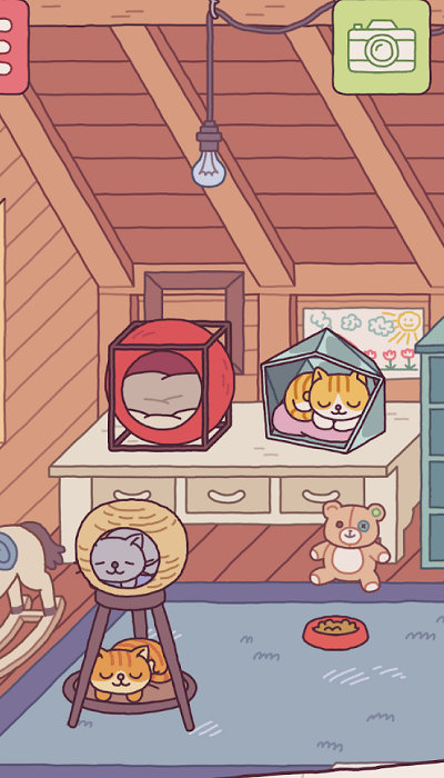 猫酒店设计