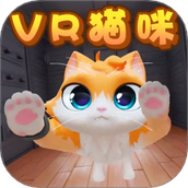 我是大橘猫