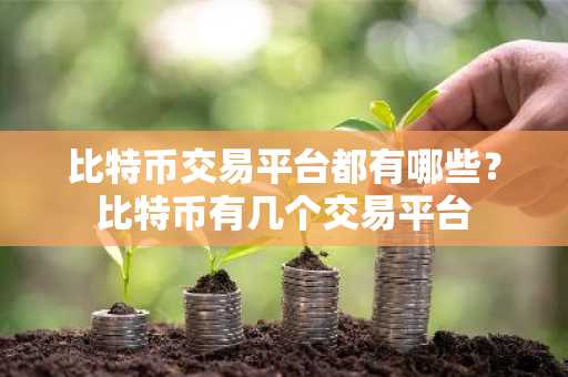 比特币交易平台都有哪些？比特币有几个交易平台-第1张图片-
