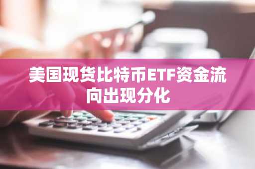 美国现货比特币ETF资金流向出现分化-第1张图片-