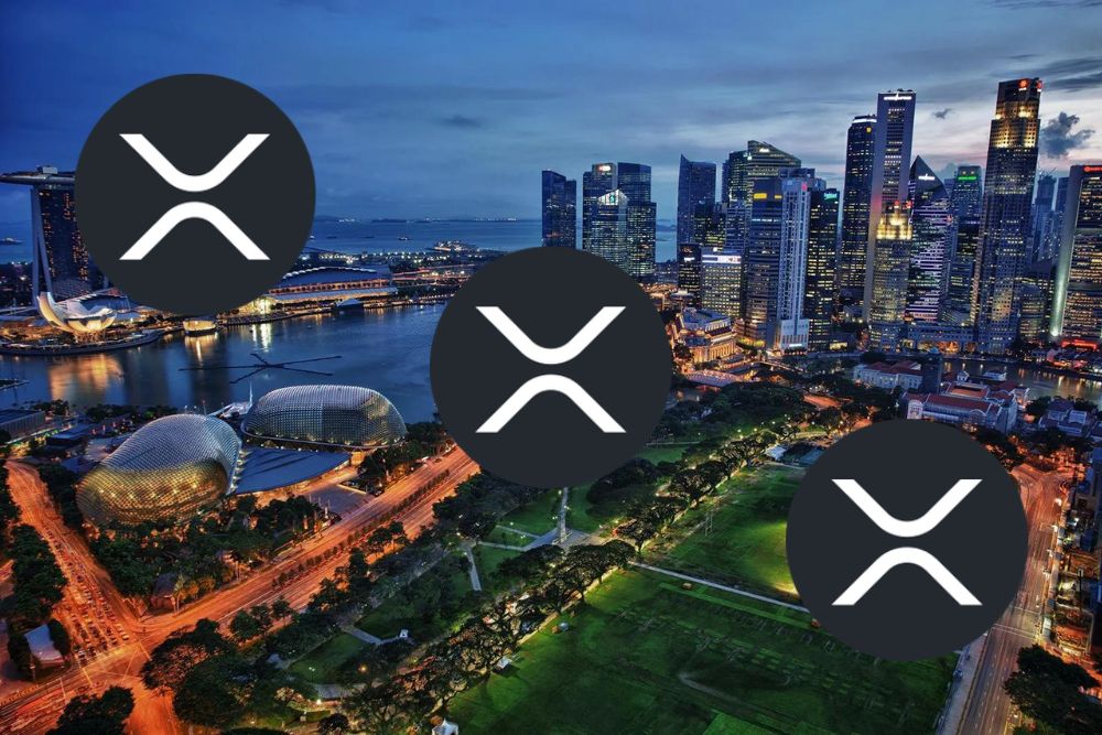 分析师向XRP持有者发出重大警告