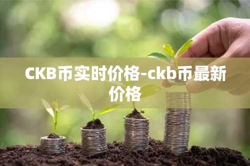 CKB币实时价格-ckb币最新价格-第1张图片-