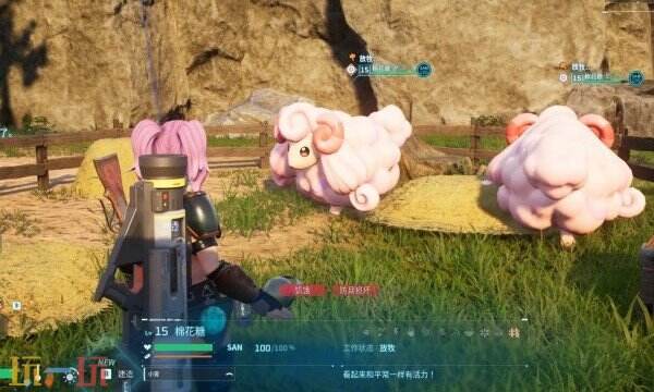 幻兽帕鲁棉花糖值得捕捉吗 帕鲁棉花糖捕捉介绍