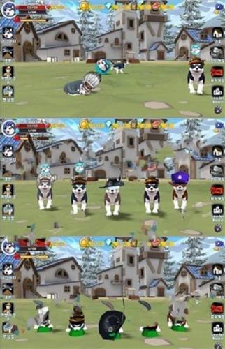 胖乎乎的哈士奇