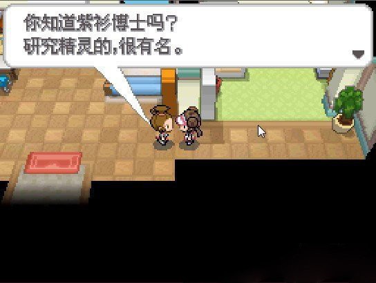 口袋妖怪 白2