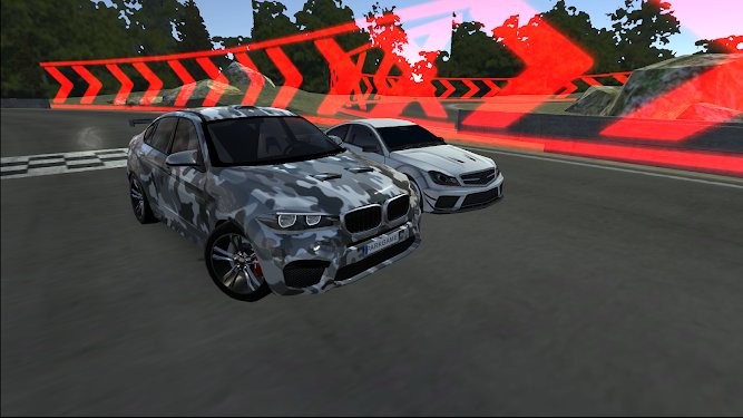 Drive X6 BMW