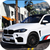 Drive X6 BMW