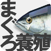 金枪鱼养殖