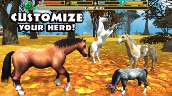 Horse Sim