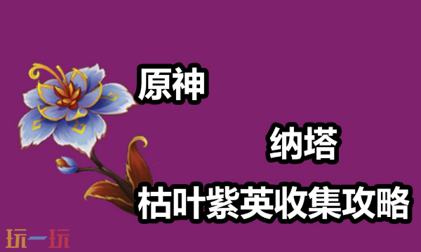 原神枯叶紫英在哪里采集 枯叶紫英采集位置大全