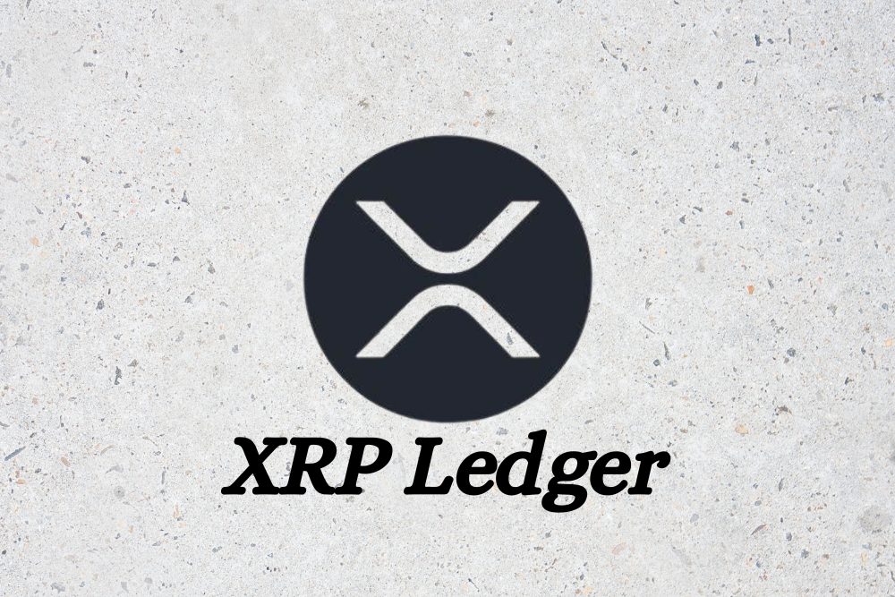 XRPL验证器在Fedwire切换至ISO20022标准时即时显示XRP账本活动