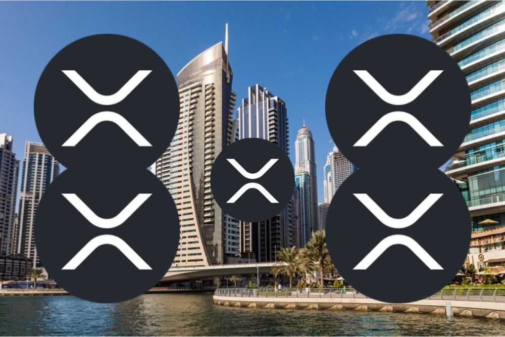 软件开发者为XRP持有者提供特别建议