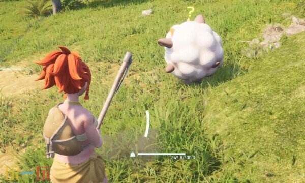 幻兽帕鲁溪谷入口怎么到达 帕鲁溪谷入口地点介绍