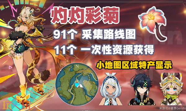原神灼灼彩菊采集路线是什么 灼灼彩菊收集攻略