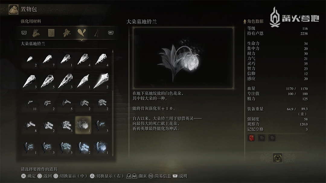 《艾尔登法环》如何获得大朵墓地铃兰（将普通骨灰升级至满级+10）