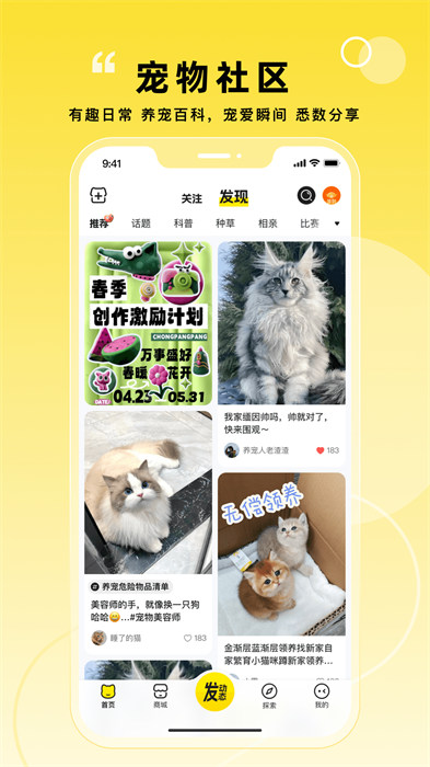 宠胖胖手机版