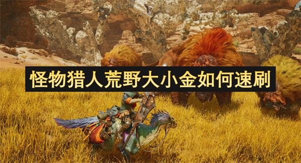 怪物猎人荒野大小金如何速刷
