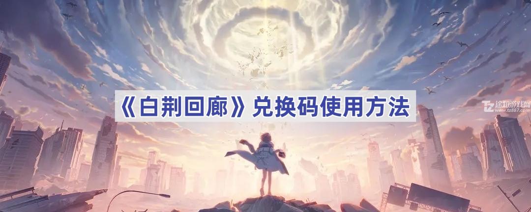 白荆回廊兑换码怎么用-白荆回廊兑换码在哪里用
