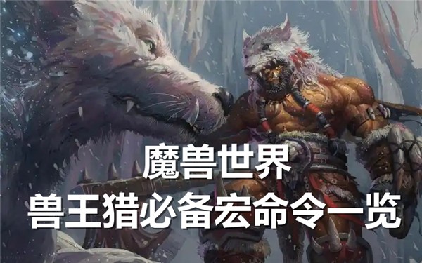 魔兽世界兽王猎必备宏命令有哪些