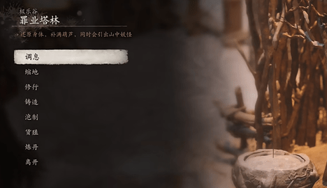 黑神话悟空千年人参种子在哪-黑神话悟空千年人参种子在哪里获得