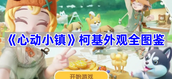 心动小镇柯基外观大全-柯基外观全图鉴