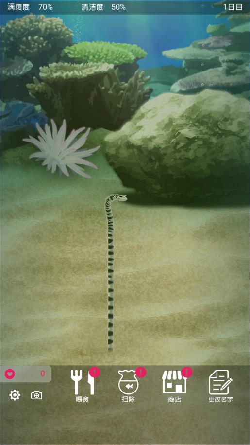养育花园鳗的治愈
