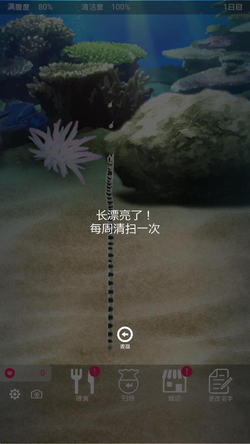 养育花园鳗的治愈