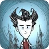 Dont Starve