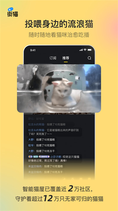 哈啰街猫