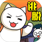 ネコと秘密の宝