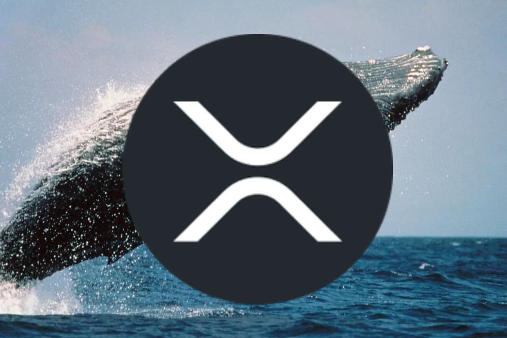 XRP价格跌破3美元后，这条巨鲸采取重大举措震惊XRP社区