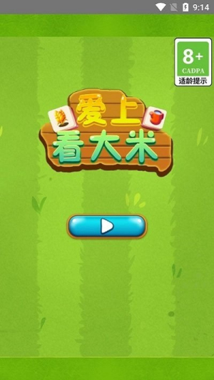 爱看大米