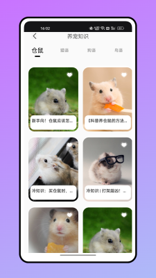 仓鼠语言翻译器