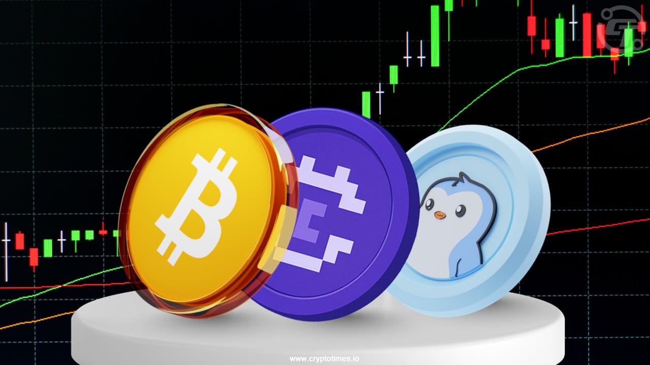 8月20日加密货币价格：Meme币上涨，比特币跌至11.3万美元