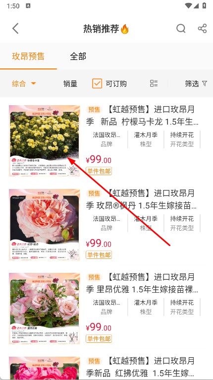 虹越花卉