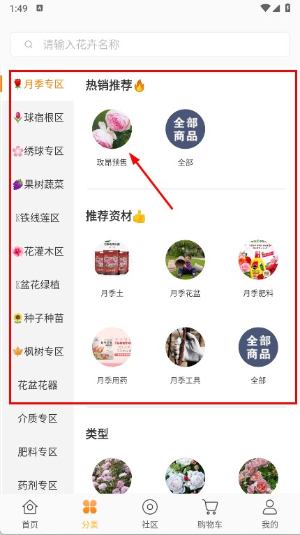 虹越花卉