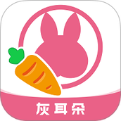 灰耳朵陪宠