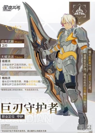 星痕共鸣五大职业特色技能有什么