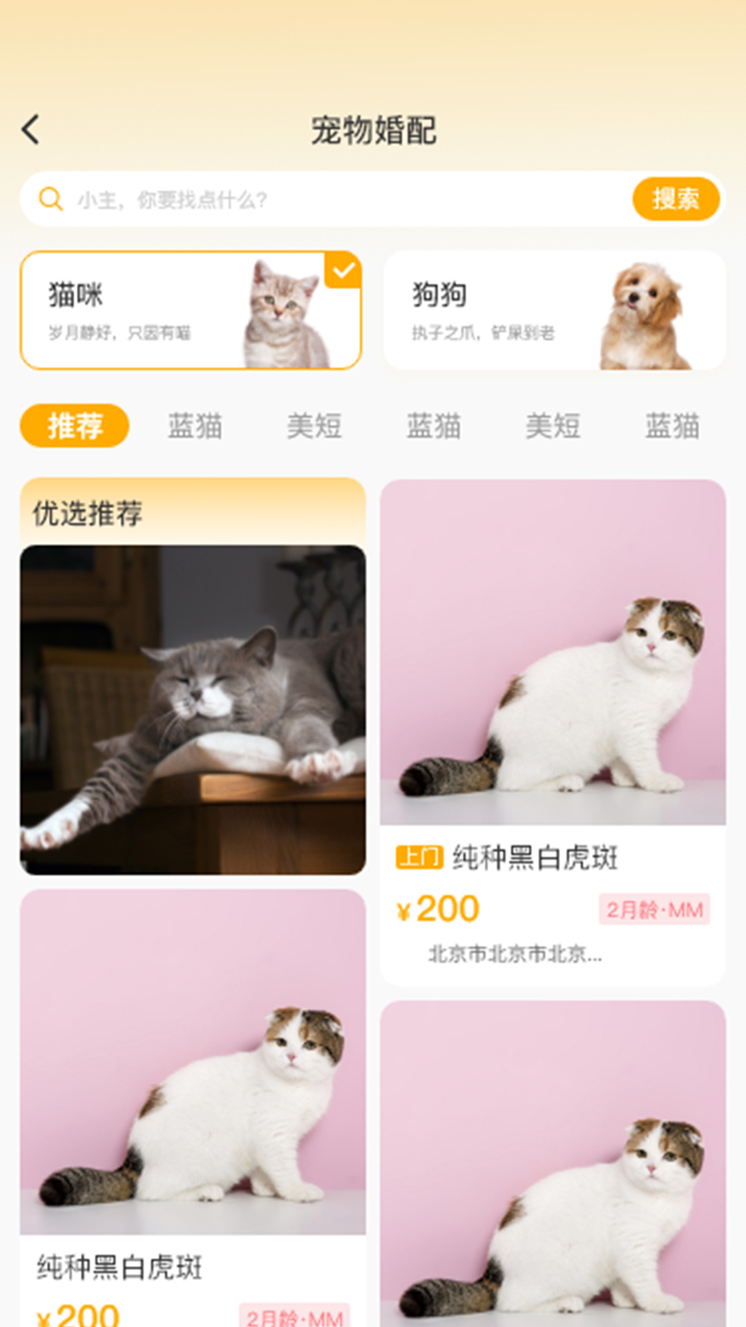 喵鑫球宠物app