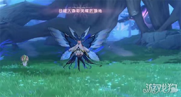蓝色星原旅谣森林灵蝶怎么捕捉 森林灵蝶捕捉攻略