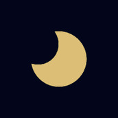 星语塔罗app