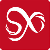 申信